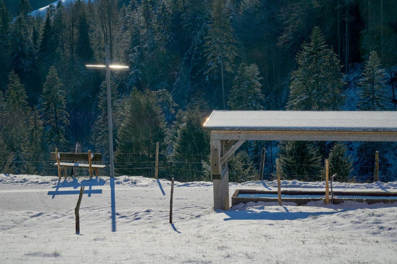 Villa UNSER VORSÄSS - Geißkopf Schwarzenberg im Bregenzerwald Exterior foto